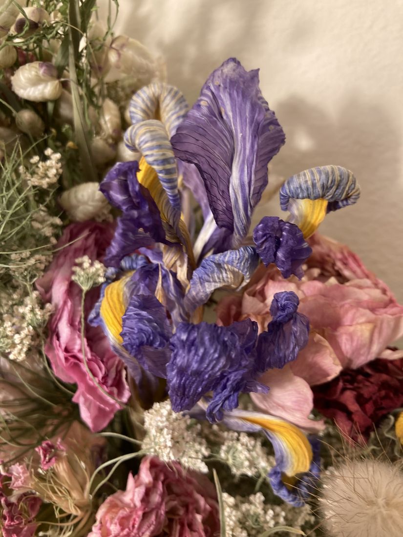 Dried iris and roses, close up